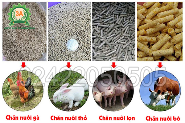 xu hướng sử dụng cám viên trong chăn nuôi