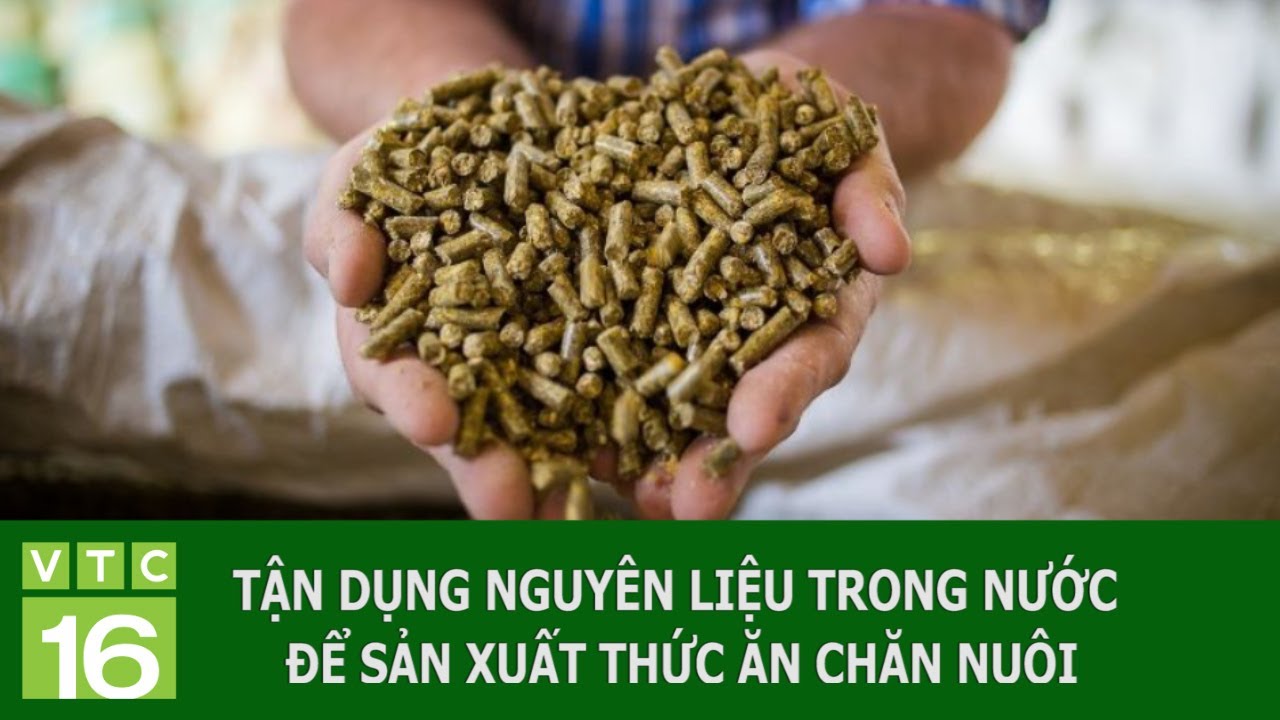 Nguyên liệu thức ăn chăn nuôi