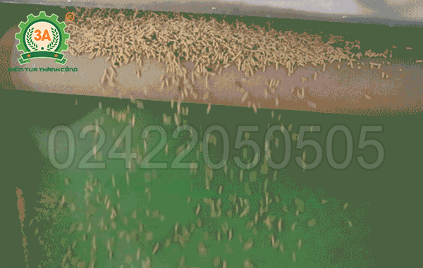 Dây chuyền thiết bị sản xuất cám viên 3A500Kg/h (37)
