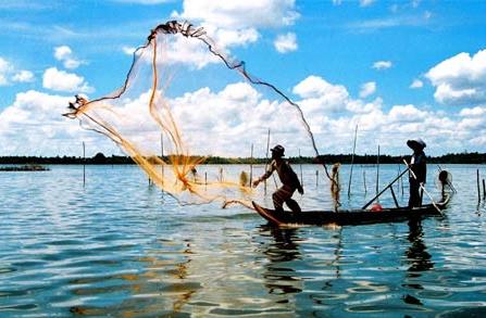 Khan hiếm thức ăn – Lối ra cho thủy sản
