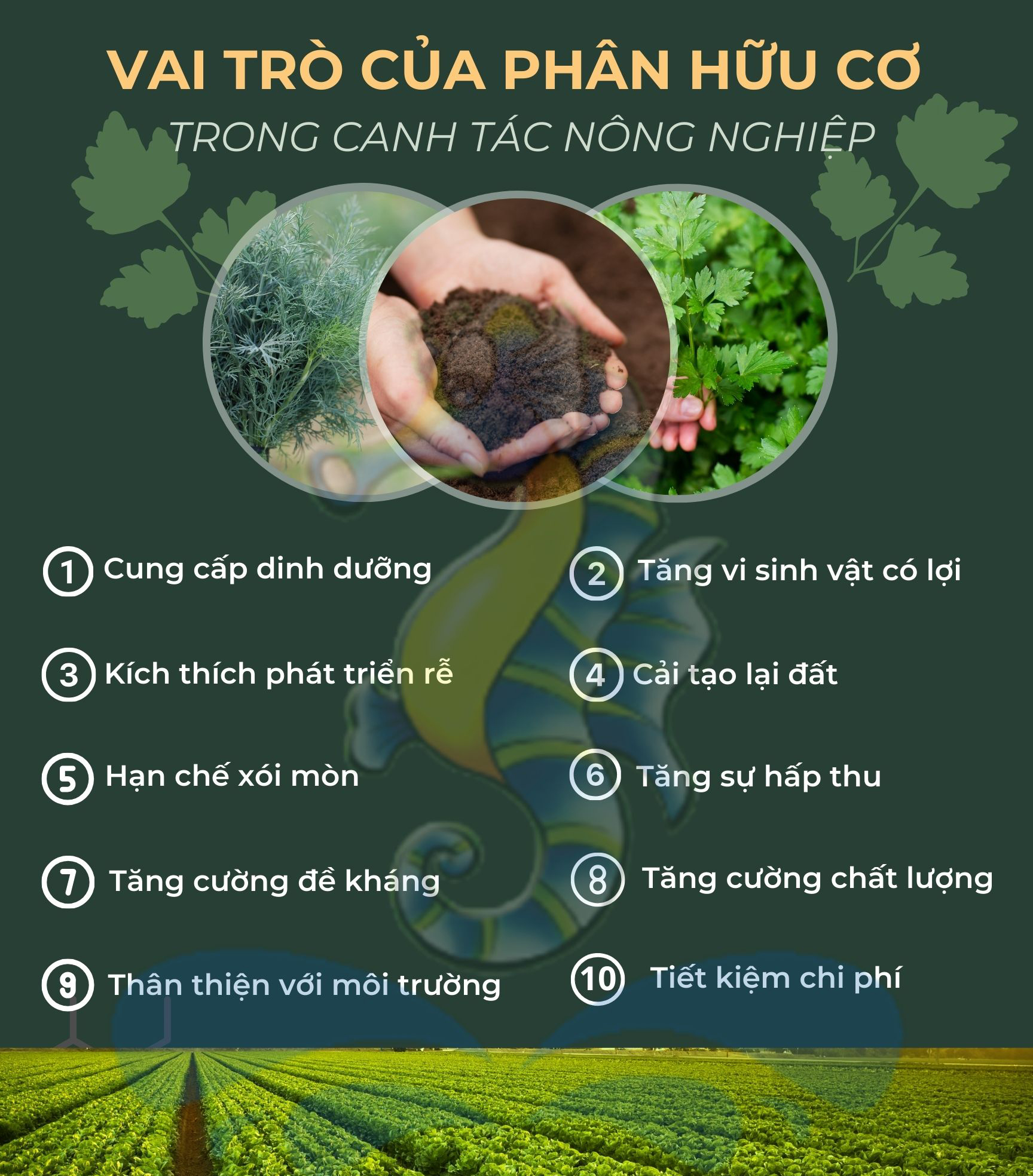 vai trò phân hữu cơ