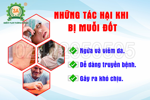 Đèn bắt muỗi UV3A