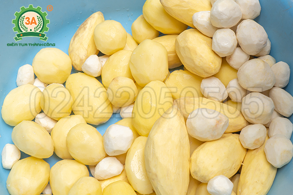 máy gọt vỏ khoai tây