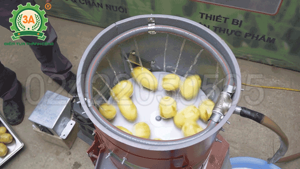 máy gọt vỏ khoai lang