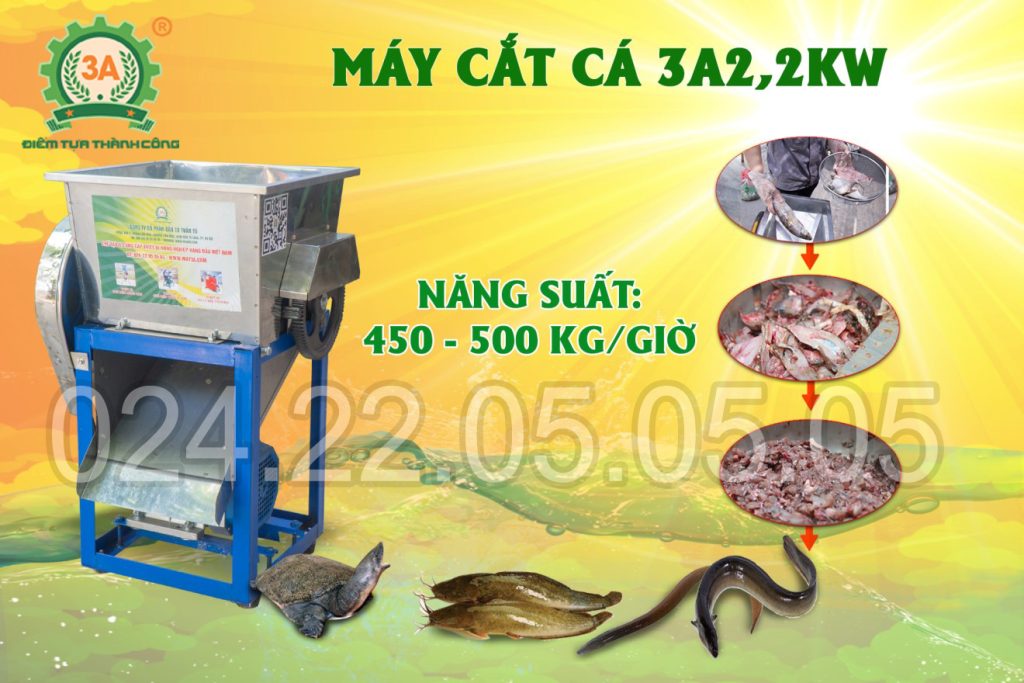 Năng suất vượt trội của máy cắt cá 3a2,2Kw