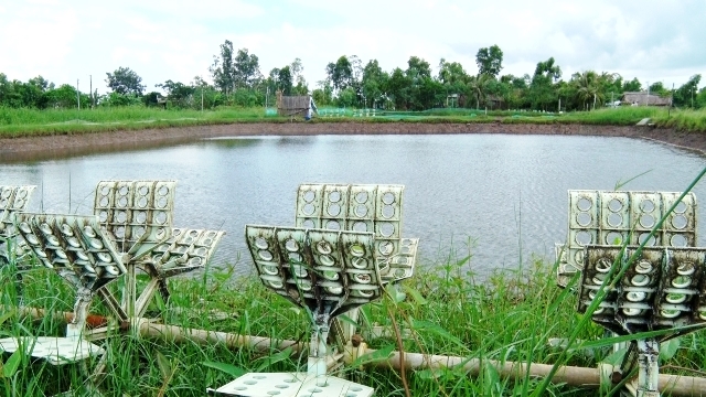 Trợ vốn giúp người dân Cà Mau khôi phục sản xuất