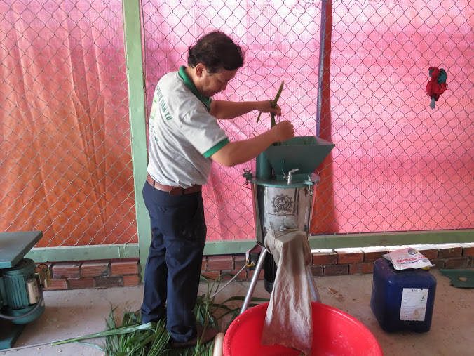 Tự chế biến thức ăn chăn nuôi cho trang trại gà