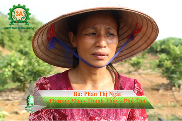 Cô Ngát có nhu cầu mua một Hệ thống tưới nước nhỏ giọt cho đồi cây ăn quả