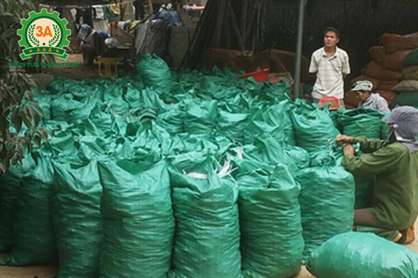 Mỗi ngày xưởng của chị Lan cần xử lý rất nhiều nguyên liệu gừng, nghệ tươi