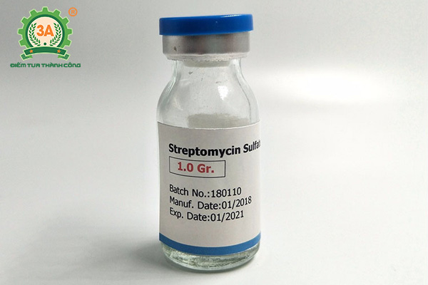 Bệnh tụ huyết trùng trâu bò (10)