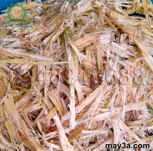 Bột bã mía trong nuôi tôm: Nguyên liệu bã mía