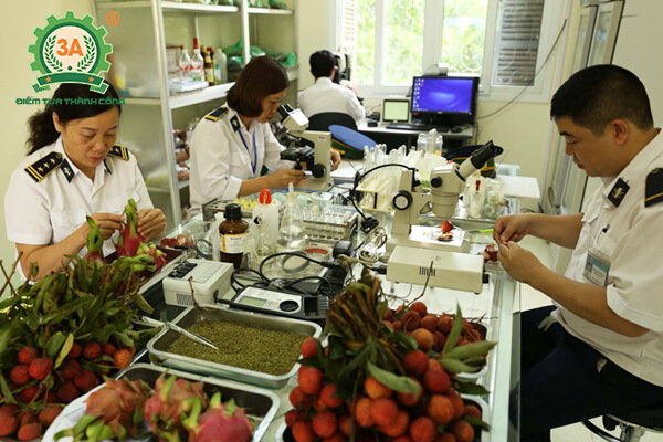 Cách đăng ký xuất khẩu sang Trung Quốc cho các doanh nghiệp sản xuất thực phẩm có nguồn gốc thực vật (03)