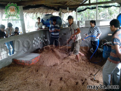 Cách làm đệm lót sinh học cho lợn: Bà con đang làm đệm lót sinh học cho lợn thịt