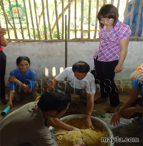 Cách làm đệm lót sinh học cho lợn: Bà con đang trộn men vi sinh