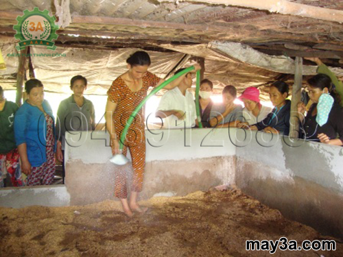 Cách làm đệm lót sinh học cho lợn: Bà con đang làm đệm lót sinh học