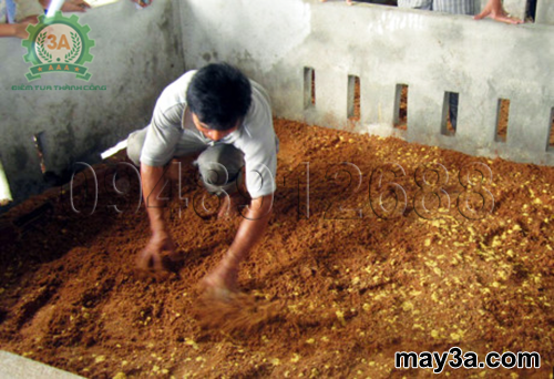 Cách làm đệm lót sinh học cho lợn: Bà con bổ sung men vi sinh cho đệm lót