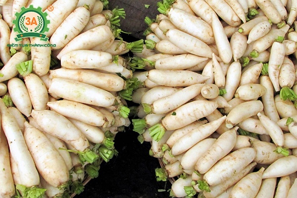 Cách làm dưa món (11)