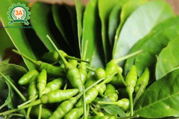 Cách làm muối ớt xanh (11)