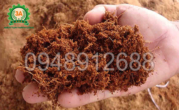 Cách làm phân hữu cơ từ xơ dừa: Quan sát màu cửa xơ dừa sau khi xả chát Tannin