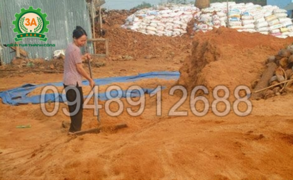 Cách làm phân hữu cơ từ xơ dừa: Sử dụng chang để dàn mỏng đống ủ