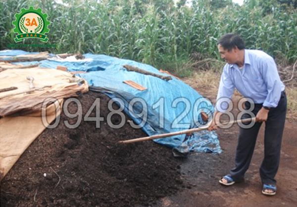 Cách làm phân hữu cơ từ xơ dừa đem lại hiệu quả cao