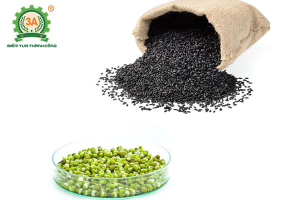 Cách làm sữa đậu xanh mè đen (01)