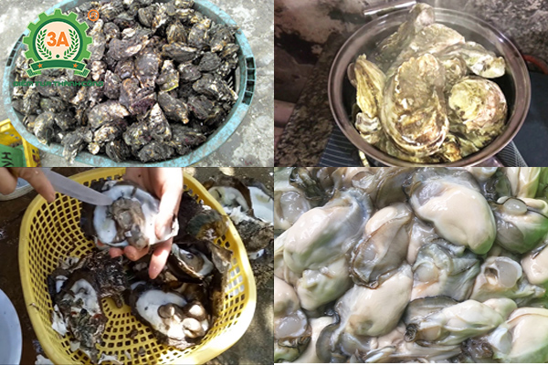 cách nấu cháo ngon (12)