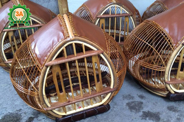 Cách nuôi chim cu gáy non - Nên nuôi chim cu gáy trong các lồng đơn