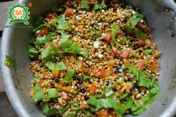 cách nuôi gà chọi con (08)