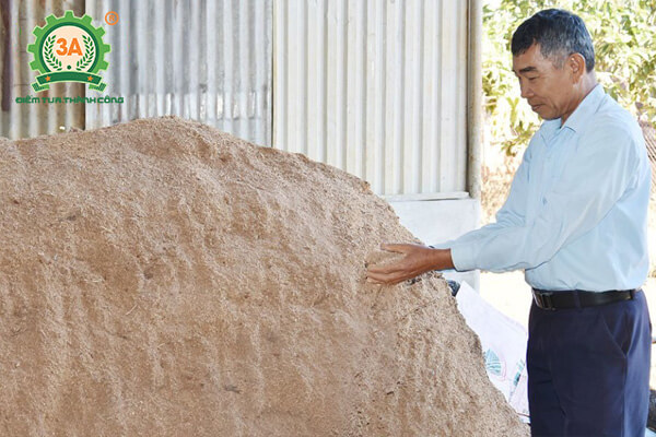 cách trồng nấm linh chi (03)