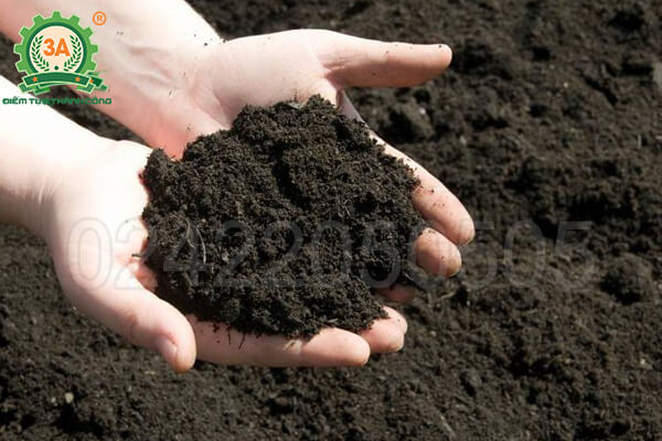 Dây chuyền băm rác hữu cơ 3A22Kw (23)