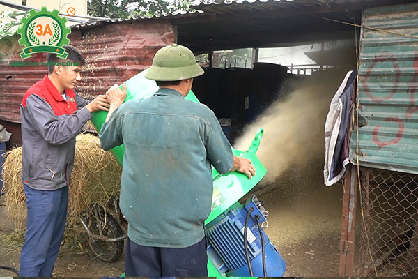 Mô hình nuôi bò sinh sản và bò giống ứng dụng dây chuyền chế biến thức ăn gia súc 3A (07)