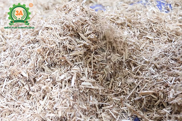 Mô hình nuôi bò sinh sản và bò giống ứng dụng dây chuyền chế biến thức ăn gia súc 3A (08)