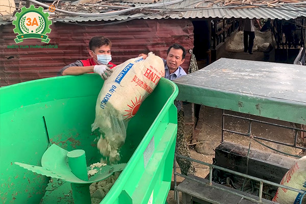 Mô hình nuôi bò sinh sản và bò giống ứng dụng dây chuyền chế biến thức ăn gia súc 3A (09)