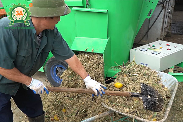 Mô hình nuôi bò sinh sản và bò giống ứng dụng dây chuyền chế biến thức ăn gia súc 3A (10)