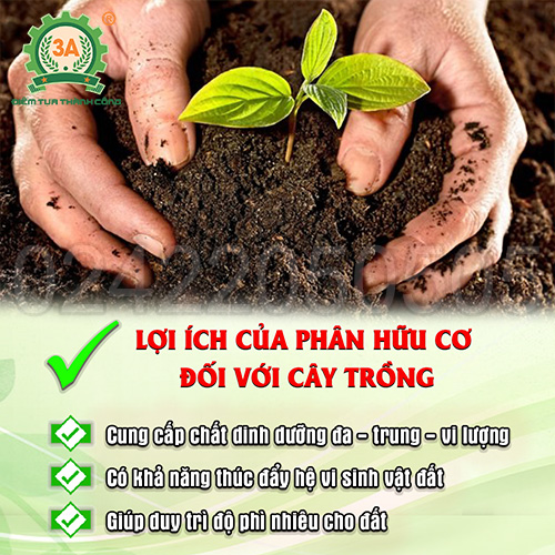 Lợi ích của phân bón hữu cơ đối với cây trồng