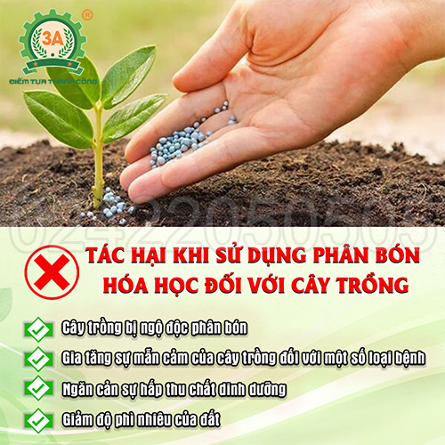 Tác hại của phân bón hóa học đối với cây trồng và sức khỏe con người