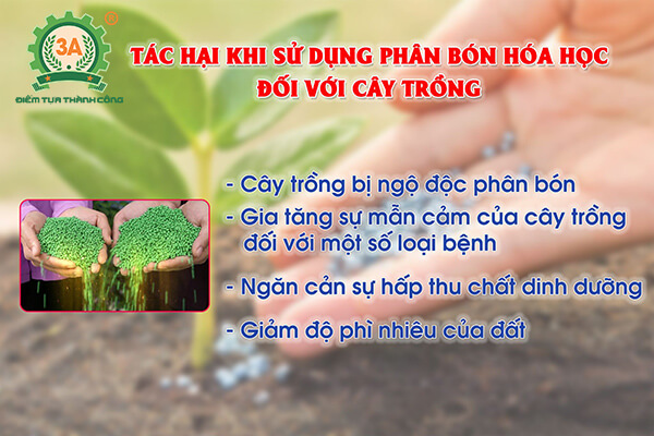 dây chuyền sản xuất phân hữu cơ 3A (04)