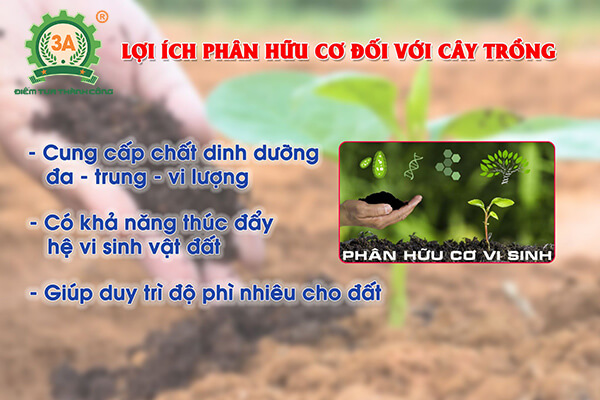 dây chuyền sản xuất phân hữu cơ 3A (05)