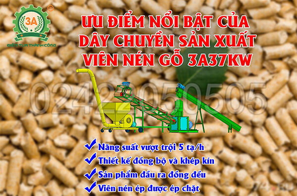 Dây chuyền sản xuất viên nén gỗ 3A37Kw (15)
