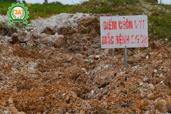 Tiêu hủy gia cầm bị dịch cúm gia cầm A/H5N6
