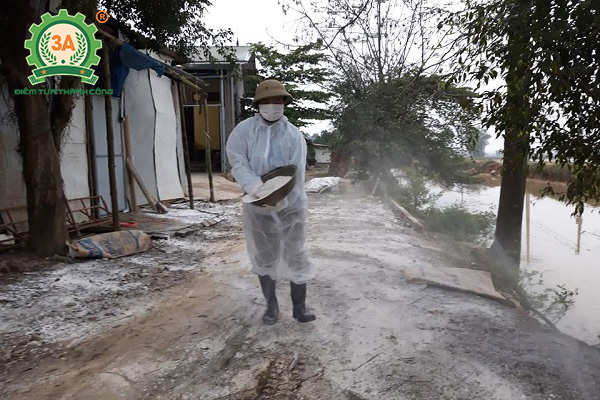 Rắc vôi bột sát trùng phòng dịch cúm gia cầm A/H5N6