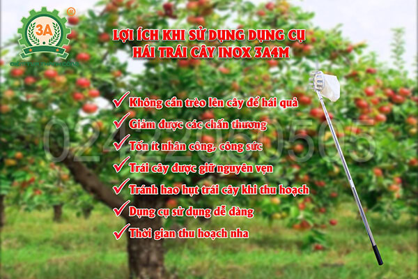 Lợi ích khi sử dụng Dụng cụ hái trái cây inox 3A4M