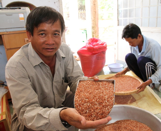 gạo dược liệu