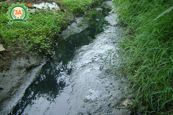 xử lý chất thải chăn nuôi heo