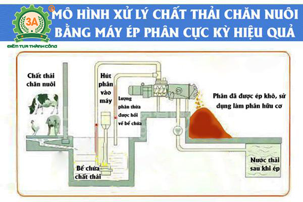 hệ thống xử lý chất thải chăn nuôi hiện đại