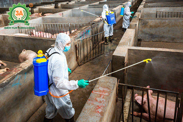 hệ thống xử lý chất thải chăn nuôi