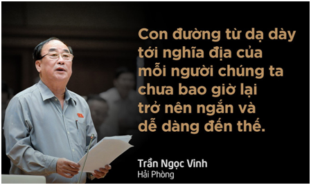 Trồng rau sạch với khay trồng rau 3A - an toàn cho sức khỏe gia đình