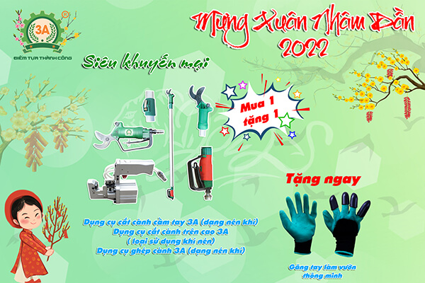 Khuyến mại mừng Xuân Nhâm Dần 2022 (06)