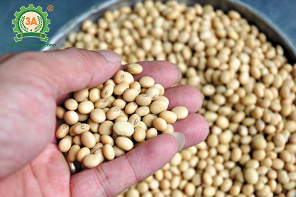 Kinh doanh sữa đậu nành (03)